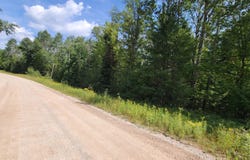 15907 Avenue Du Chalet, Wolverine, MI 49799