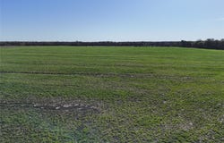 015 FM 198, Enloe, TX 75441