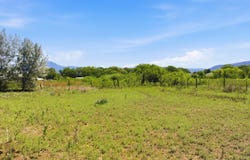 Tract C 3 A Tom Holder Road, Ranchos de Taos, NM 87557