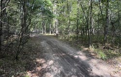 V/L Timber Trail, Prescott, MI 48756