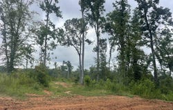 Holmes Bridge Road, Laurens, SC 29360