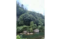 6648 Huntersville Rd., Marlinton, WV 24954