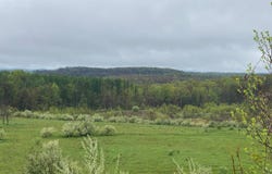 123 Deckers Point Rd, Marion Center, PA 15759