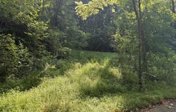 Community Park Rd, Seymour, TN 37865