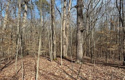 1 Ac Shawan Road, Clarksville, VA 23927
