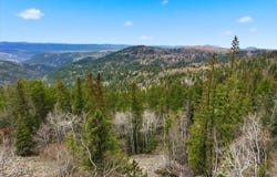 Terry Peak Summit Rd lot: 2, Lead, SD 57754