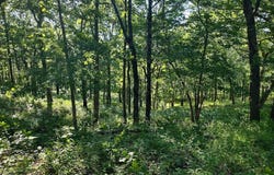 36501 Mohave Drive, Eldridge, MO 65463