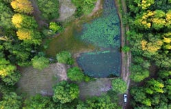 274 Belton Rd, Camden, SC 29020
