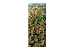 42-14 Chippokes Farm Road, Surry, VA 23883