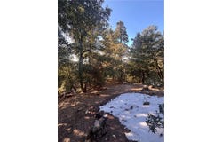 North Rd, Twin Peaks, CA 92391