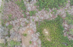 Andrew Chapel Road, Brandon, MS 39047