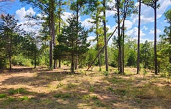 Modock Dr, Bastrop, TX 78602