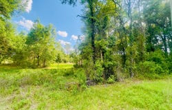 NE 66th Ln lot: 1, Bronson, FL 32621
