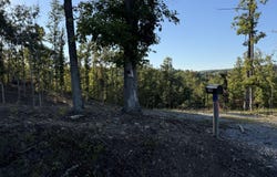1282 Vine Ridge Rd, Wilder, TN 38589