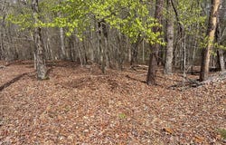 6R Hillcrest Ln lot: 6R, Littleton, NC 27850