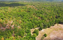 CR 4552, Winnsboro, TX 75494