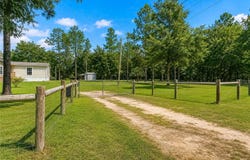 13711 NE 8TH Street, WILLISTON, FL 32696