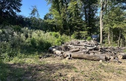 Lee Street, Sylva, NC 28779