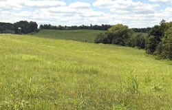 304 Cape Road, Jamestown, KY 42629