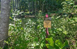 Dunlap Creek Road, Covington, VA 24426