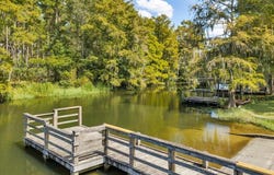231 Wolf's Thick Rd, Cordele, GA 31015