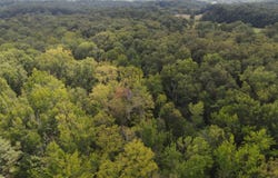 SR 1 lot: 6, West Harrison, IN 47060