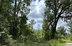SW 44TH LANE, Jasper, FL 32052