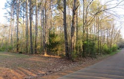 Woodland St, Kosciusko, MS 39090