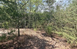 CR 3824, Wills Point, TX 75160