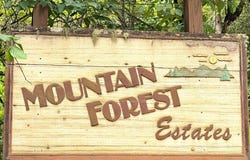 477 Mountain Forest Estates, Sylva, NC 28779
