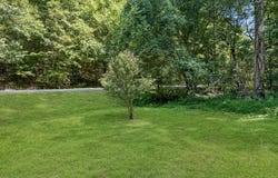 165 Lakeshore Dr, DOVER, TN 37058