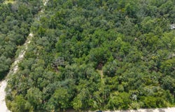 160TH TERR, McAlpin, FL 32060