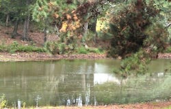 319 Powell Drive, Jackson, GA 30233
