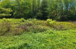 23124 Telegraph Rd, Ruther Glen, VA 22546
