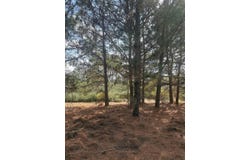 123 Koali Dr, Bastrop, TX 78602
