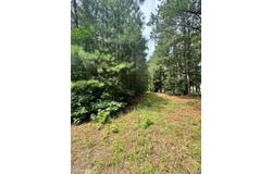 HADEN CIR lot: 5-9, PAINTER, VA 23420