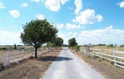 700 County Road 423, Taylor, TX 76574