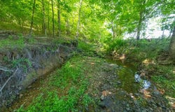 Slaughter Road, Benton, KY 42025