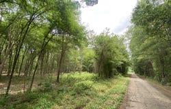 150 CR 3920, Mt Pleasant, TX 75455