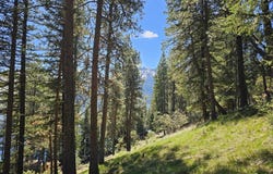 Lake Shore Rd, Joseph, OR 97846
