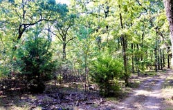 800 Trosper Trace, Quinlan, TX 75474