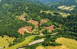 49629 HIGHWAY 242, Broadbent, OR 97414