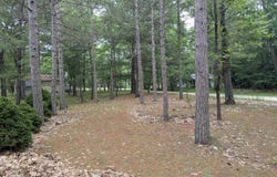 28 W Pine, Au Gres, MI 48703