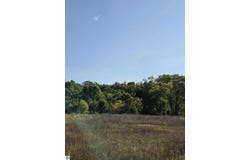 Runyan Lane, Hale, MI 48739