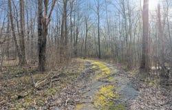 W681 PEARL Street, ONEIDA, WI 54155-9645