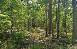 Water Tower Rd, Talihina, OK 74571