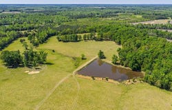 71.16 Ac Highway 49, Buffalo Junction, VA 24529