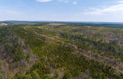 1 N4220, Antlers, OK 74523