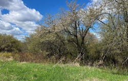 Hatch Rd, Russell, NY 13652