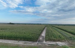 735 F Rd, Loomis, NE 68958
